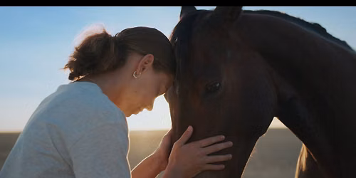 GUIDED BY HORSES - Screening at MAGNT