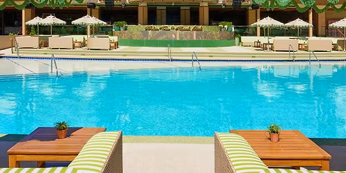 Palm Tree Beach Club Thursday at Palm Tree Beach Club