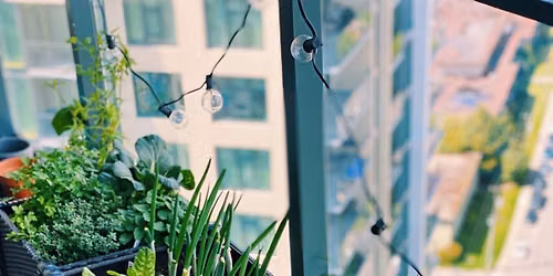 Intentional Gardening in Small Spaces