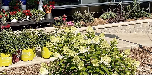 Portland Sea Dogs vs. Hartford Yard Goats