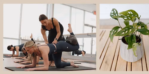 Plants + Pilates