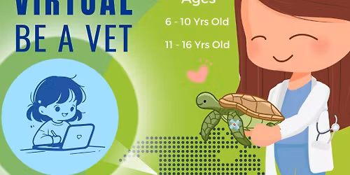 Sea Turtle Inc. - Virtual Be A Vet