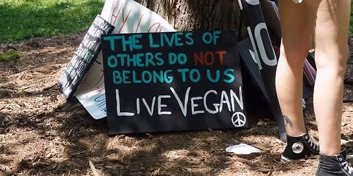 Step Out for Peace: The Walk for Compassion