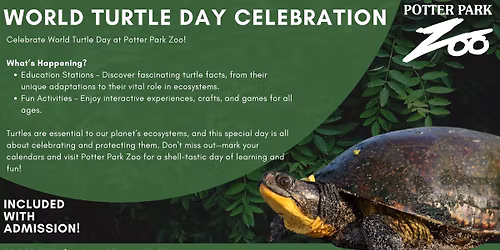 World Turtle Day Celebration