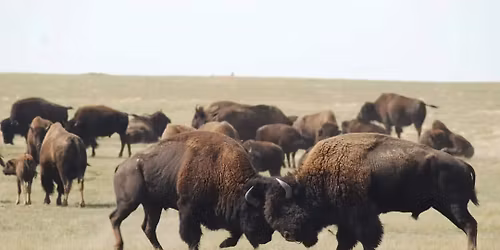 30th Anniversary RMBA Spring Conference