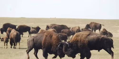 30th Anniversary RMBA Spring Conference