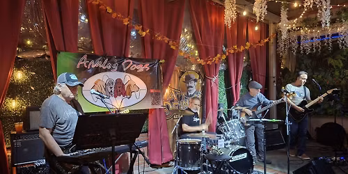 Almost Summer Solstice Show!