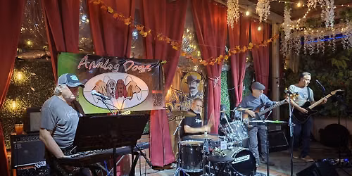 Almost Summer Solstice Show!