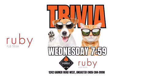 Wednesday Night Trivia at The Forge Bar-BQ in Ancaster