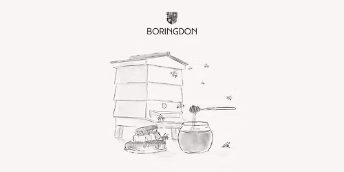 Beekeeping Course & Honey Afternoon Tea