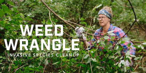 Huntsville City-Wide W**d Wrangle 