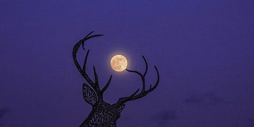 Full BUCK MOON Circle & BeachDance