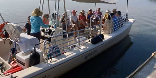 Ecotour with Captain Amber