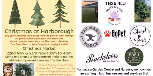 Christmas at Harborough