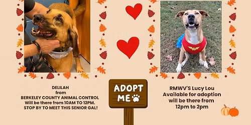 SHOP FOR A CAUSE ADOPTION & SALE EVENT AT RESCUE ME WV 