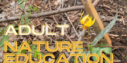 Campfire Cooking IN-PERSON Workshop