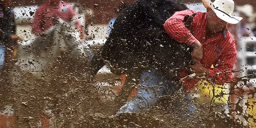 Calgary Stampede Rodeo