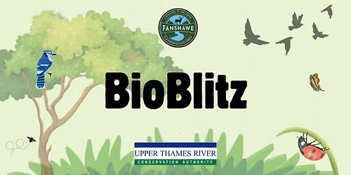 BioBlitz at Fanshawe CA