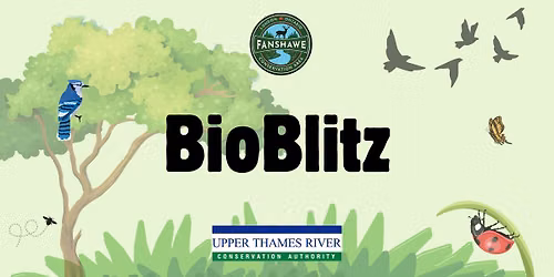 BioBlitz at Fanshawe CA