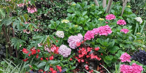 Gardening in Small Spaces