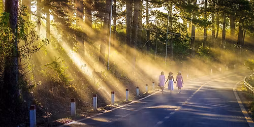 Musical - "Wohin das Leben uns treibt"