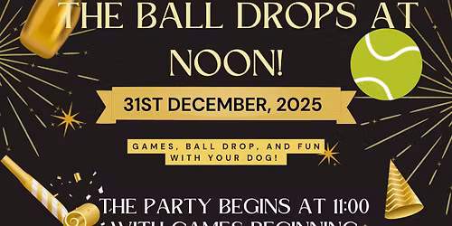 Noon Years Eve ball drop!\ud83c\udfbe