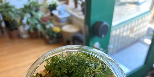 Terrarium Building