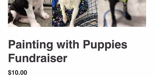 Pottery & Painting with Puppies at Imagination Pottery Studio
