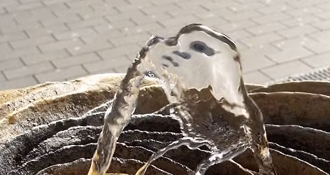 Brunnenlauf November 2025