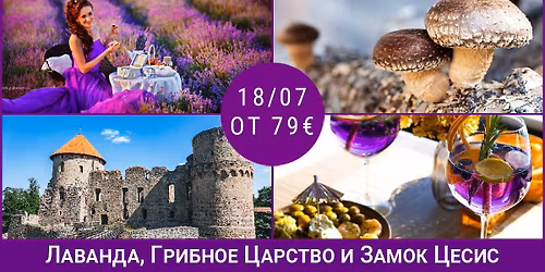 \u041b\u0430\u0432\u0430\u043d\u0434\u0430, \u0413\u0440\u0438\u0431\u043d\u043e\u0435 \u0426\u0430\u0440\u0441\u0442\u0432\u043e \u0438 \u0417\u0430\u043c\u043e\u043a \u0426\u0435\u0441\u0438\u0441!