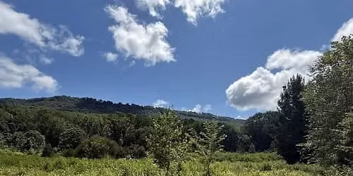 Wauhatchie Trail Race