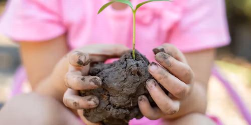 Toddler Adventures: Dirt!