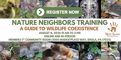 Nature Neighbors Training with WSWC