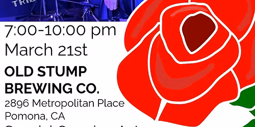 Rehabbed, Amy Winehouse tribute LIVE @ Old Stump