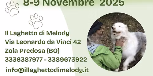 Essere Pastori di Ivano Vitalini