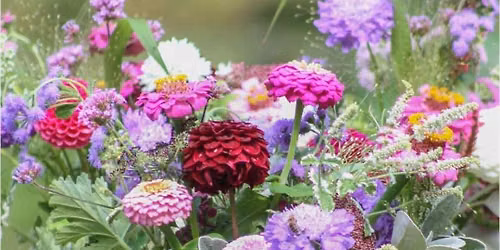 Flower arranging  with Kathryn from Thistle and Twine. 