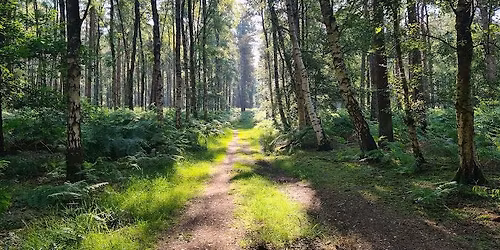 Spring Artisan Market