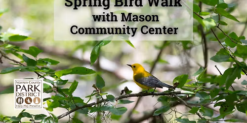 Spring Bird Walk with Mason Community Center