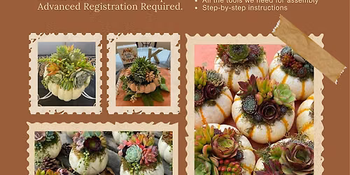 Pumpkin Succulent Workshop with Kristin's Magical Moments