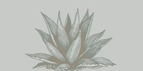 \u2728 Election Night Blanco: A Tequila Tasting at Shug\u2019s