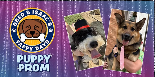 Yappy Days - Puppy Prom
