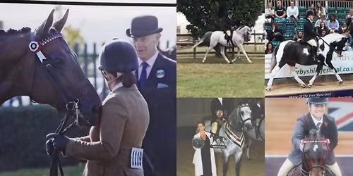 New Year Showing & Flatwork Clinic with Penny Hollings
