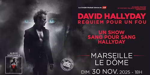 DAVID HALLYDAY \u2022 LE D\u00d4ME DE MARSEILLE \u2022 30 NOVEMBRE 2025