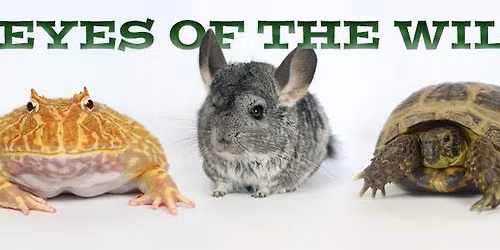Summer Reading Show: Eyes of the Wild Animal Show