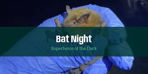 Bat Night Program & Walk
