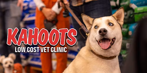 Vet Clinic at KAHOOTS Chino Hills