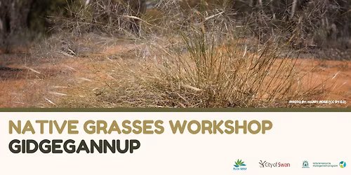 Native Grasses Workshop - Gidgegannup