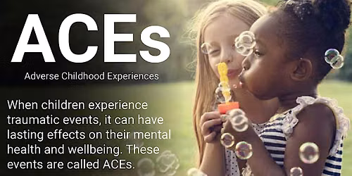 Adverse Childhood Experiences(ACEs)