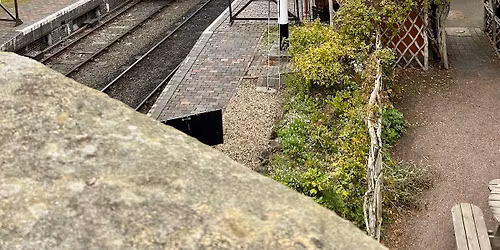 \ud83d\ude82 Severn Valley Railway Steam Train & Riverside Walk - 4.5 miles\ud83d\udeb6\u200d\u2642\ufe0f