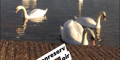 Heritage week walk at Edgbaston Reservoir 